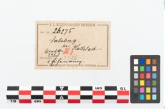 Etikett zu Eisenring (NHMW-PRAE-026275)